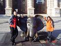 Elefant and we (1)